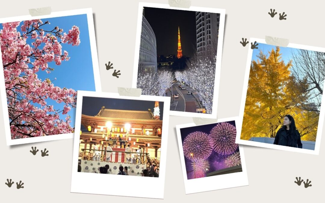 Best Time to Visit Japan (Honest Advice From Someone Living in Tokyo)