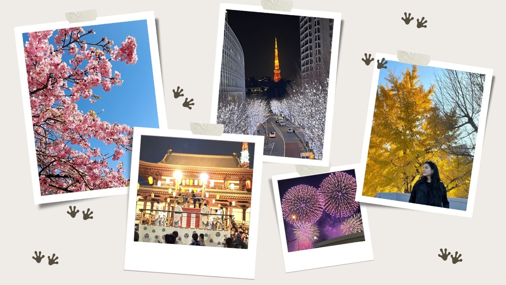 Japan four seasons collage showing sakura spring, summer fireworks, autumn momiji and winter lights in Tokyo